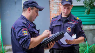 Полицейские раскрыли несколько случаев криминального туризма в регионе