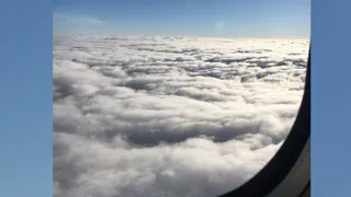 В России часть самолетов после закрытия аэропортов в Москве летали в небе над Рязанью