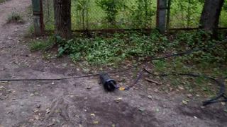 Рядом с детсадом: на Белякова уже месяц лежат упавшие провода