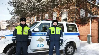 В Челябинской области полицейские вытащили из сугроба фуру с коровами, застрявшую в снегопад