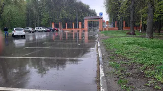 28 апреля в Рязанской области ожидается дождь и до +19