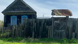 Как в старинных сёлах отваживают мышей от дома без кота и химии: 4 линии обороны от грызунов - сбегают, сверкая тапками