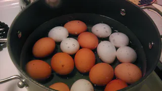 Что нужно добавить в воду при варке яиц, чтобы скорлупа легко снималась – проверенный лайфхак от соседки