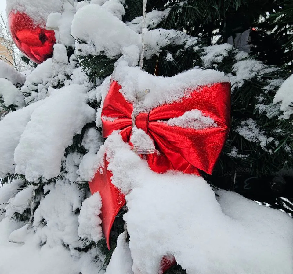 Дизайнер раскрыла, как правильно жителям Нижнекамска встретить год Лошади, чтобы он принёс удачу