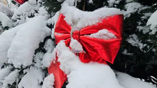 Дизайнер раскрыла, как правильно жителям Нижнекамска встретить год Лошади, чтобы он принёс удачу