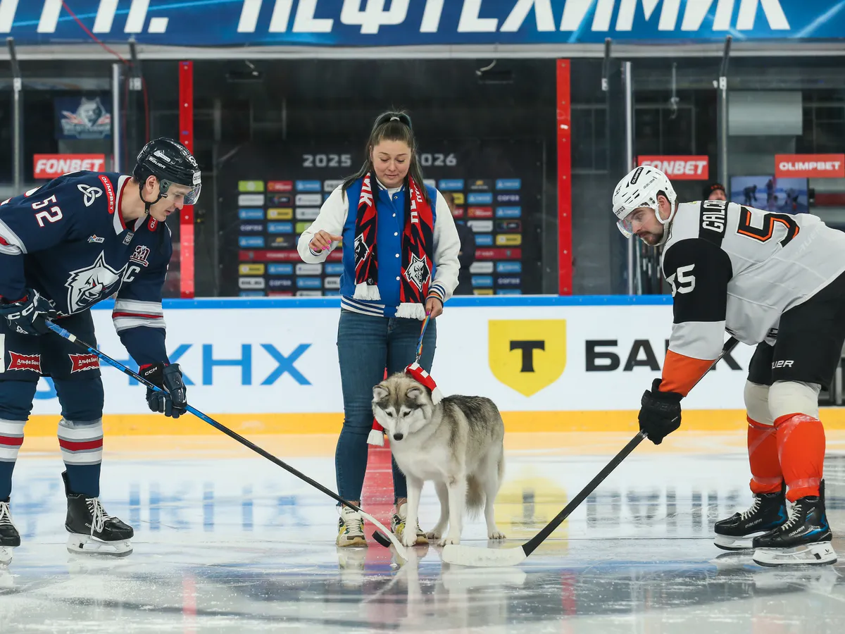 «Нефтехимик» проведет еще один зубастый матч в помощь животным