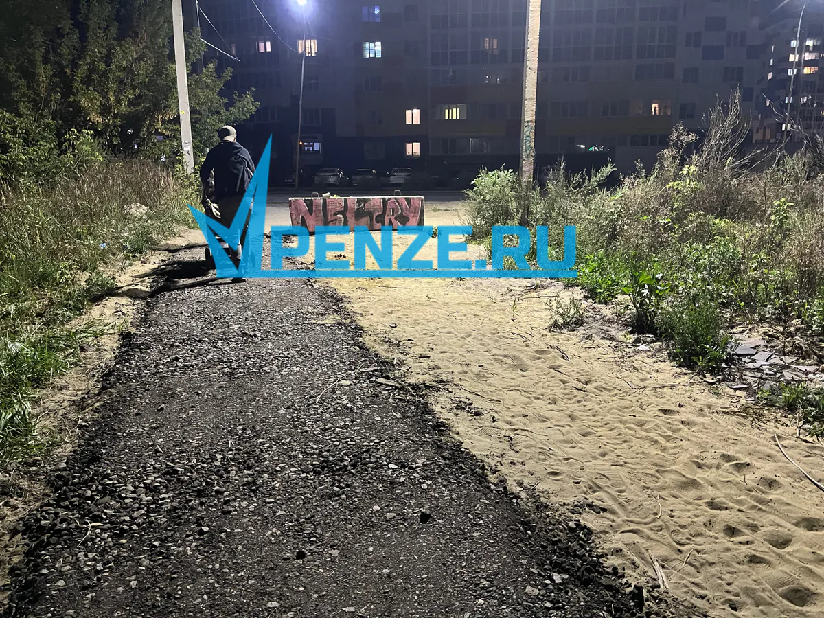 Как кандидат в депутаты решил завоевать доверие жителей Пензенского района через благоустройство дороги