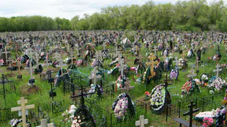 Негде хоронить: в Рязани хотят расширить второе Богородское кладбище