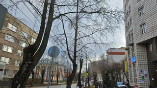 Пенсионерам с 26 апреля зачислят на карты выплаты за 2018-2024 годы: кому ждать денег