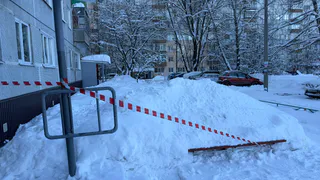 «Чистим сами, а в ответ — отписки»: жительница Рязани пожаловалась губернатору на ситуацию в посёлке Шлаковый