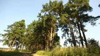 Уже лучше. Рязань поднялась в экологическом рейтинге на 6 пунктов