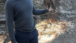 История со счастливым концом: ручной ястреб по кличке Терри, улетевший от рязанца, вернулся домой