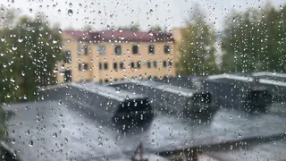 29 августа в Коми ожидаются дожди и туман