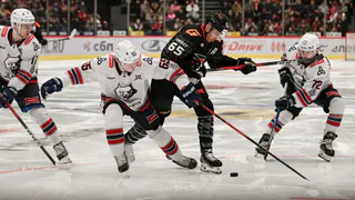 Плей-офф в разгаре: «Нефтехимик» сравнял счет в серии с «Авангардом» 