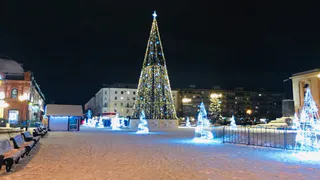 Павел Малков призвал рязанцев отказаться от салютов в новогодние праздники