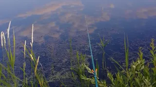 Сергей Аноприенко назвал любимые места в Рязанской области