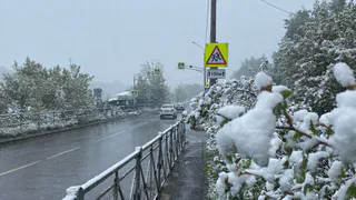 Челябинцам рассказали, какой будет погода в начале зимы