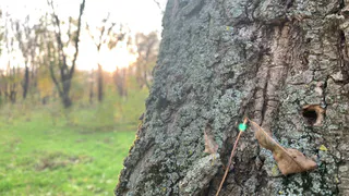 В рязанском Лесопарке подтопило парковку у пристани