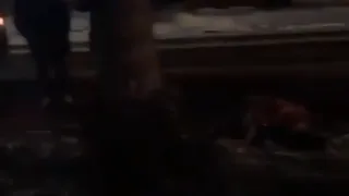 Соцсети: на улице Тимуровцев насмерть сбили пешехода