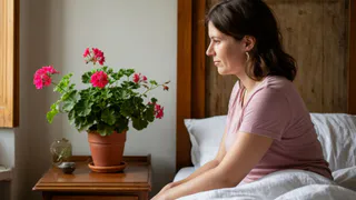 Мичурин запрещал, а мы ставим и радуемся: 7 опасных цветов, которые ни в коем случае нельзя держать в спальне - обернется бедой