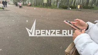 Полицейские предупреждают о новой схеме мошенничества со звонком от «бухгалтера» о выплате