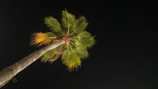 Анталья сообщила о почти 100-процентной заполняемости своих отелей