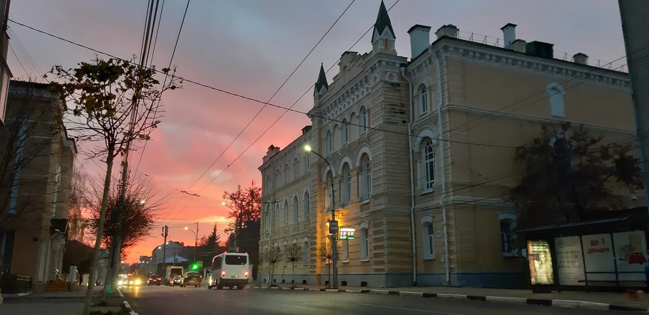 Дистанционное обучение в университете Рязани: мнения разделились