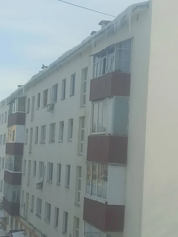 Спешить нельзя торопиться: «Когда прибьёт, тогда и уберут»