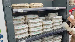 Конвейерные пустышки: в Роскачестве назвали марки яиц из "черного списка" - не покупайте на завтрак