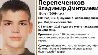 Во Владимирской области пропал 15-летний подросток. Идут поиски!