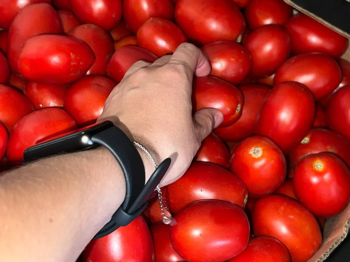 Как правильно хранить овощи, чтобы они не портились: запомните раз и навсегда