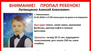 Мальчик, пропавший в Нижнекамске, найден живым