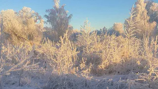 Челябинскую область накроет снежный циклон с Атлантики: синоптики рассказали о погоде на 3 марта