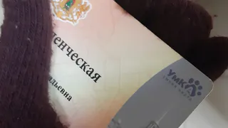 В КВЦ больше не ходите: где в Рязани можно пополнить карту "УмКА"