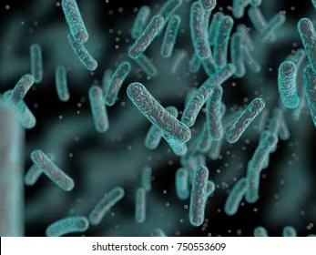 Названы бактерии, которые продлевают жизнь человека