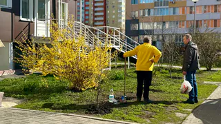 С 27 мая будет полностью бесплатно для всех пенсионеров: вводится долгожданная льгота