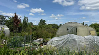 За копейки обеспечила на даче чернозём: 1 «пузырёк» заменит 100 кг навоза - проливаю все грядки как только убран урожай