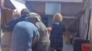 В Чувашии нашли пропавшую пенсионерку после шести дней поисков