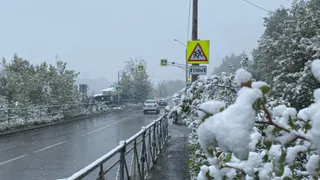 Людям не верится, что так быстро: синоптики назвали точную дату, когда выпадет первый снег