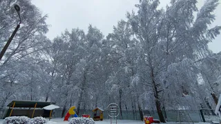 Снежный шторм нагрянет: синоптик предупредил россиян о непрерывных снегопадах 