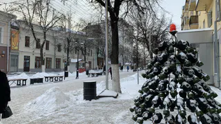 23 декабря в Рязанской области ожидается мокрый снег и +4