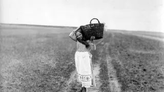 Крестьяне на фотографиях Алексея Мазурина, 1900-1915