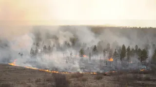 Рязанцы отправились в Красноярский край, чтобы бороться с пожарами