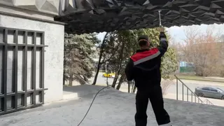 На Князь-Владимирском кладбище начались масштабные работы по благоустройству