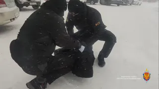 В Коми пресекли масштабную схему фиктивных браков для мигрантов