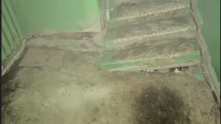 В Брянске в многоквартирном доме провалилась лестница