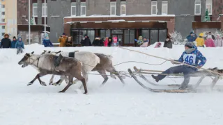 Национальный праздник "Быстроногий олень" в Инте состоится только в 2026 году