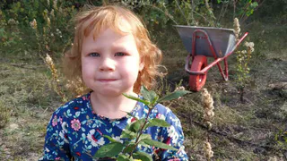 Жители Заборья своими руками высаживают дендропарк