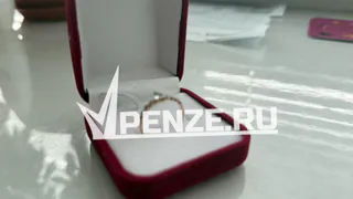 Разводящихся пензенцев планируют заставить обращаться к медиатору 