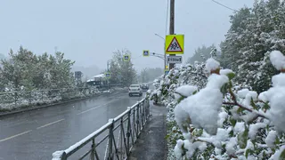 Ожидается очередная волна холода: следующая неделя заставит одеться тепло, температура будет падать вниз